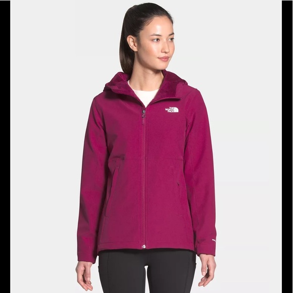 The NorthFace Shelbe Raschel Hoodie Size XS - Picture 1 of 11